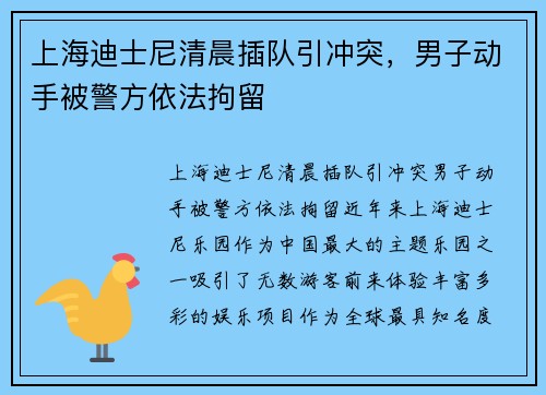 上海迪士尼清晨插队引冲突，男子动手被警方依法拘留