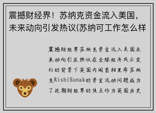 震撼财经界！苏纳克资金流入美国，未来动向引发热议(苏纳可工作怎么样)