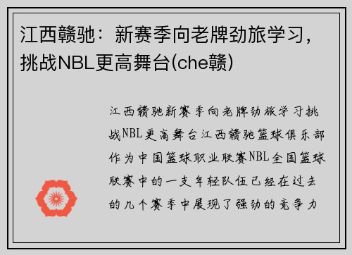江西赣驰：新赛季向老牌劲旅学习，挑战NBL更高舞台(che赣)
